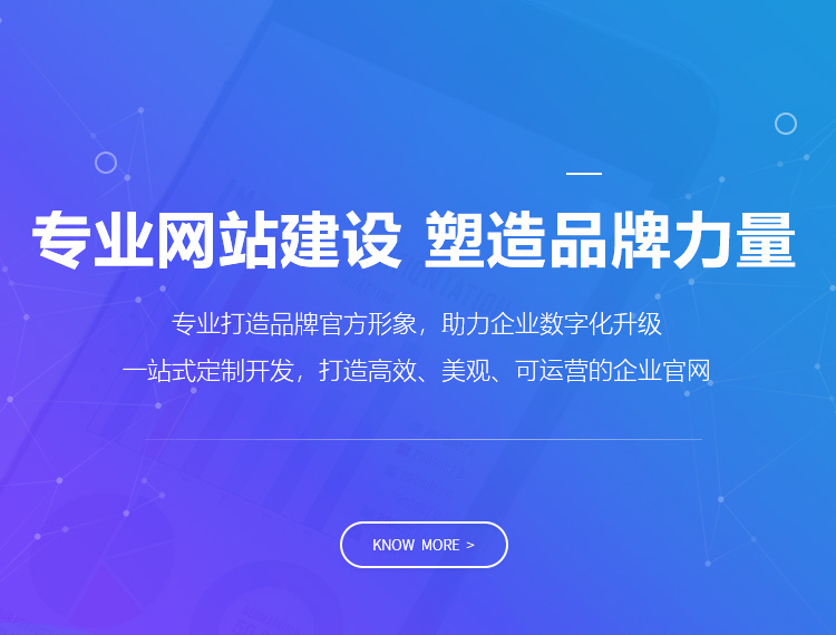 阜新县建站-专业网站建设 塑造品牌力量